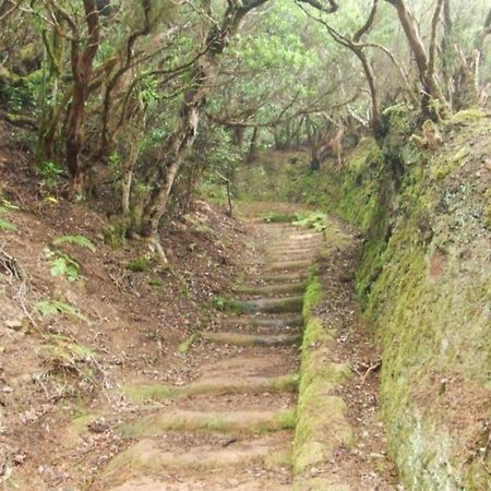 Casa Del Cu Bano B- Biosphere Reserve Санта Крус де Тенерифе Екстериор снимка